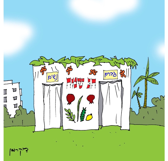 קריקטורה יומית