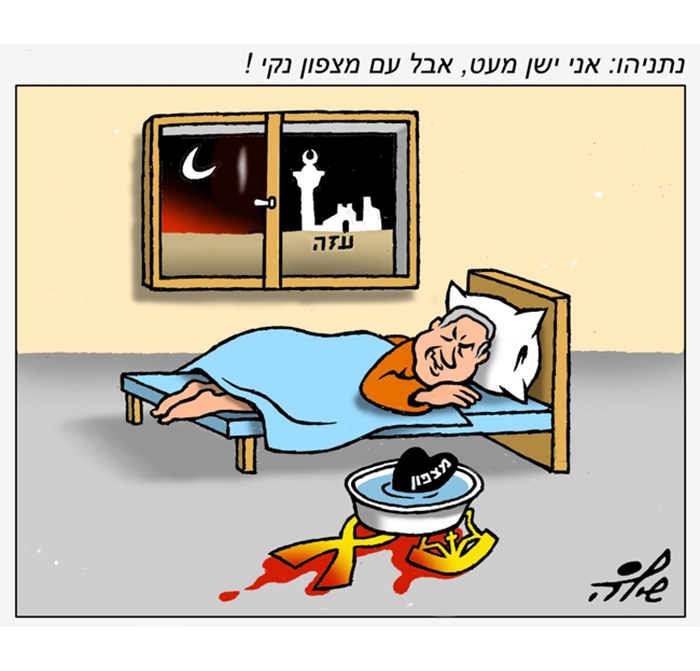 קריקטורה יומית