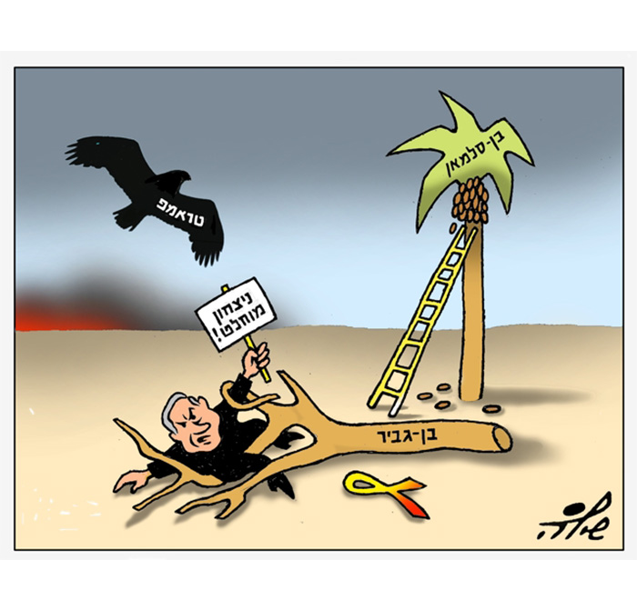 קריקטורה יומית