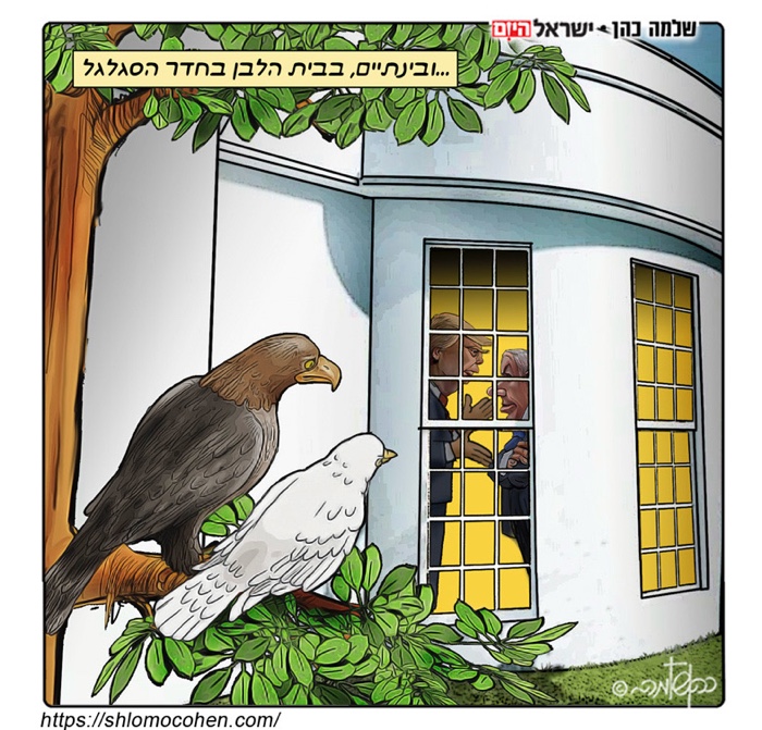 קריקטורה יומית
