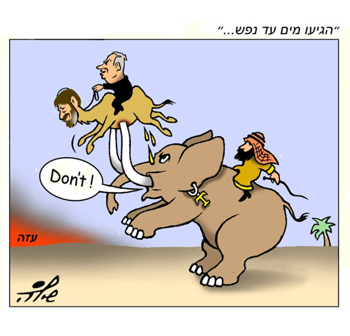 קריקטורה יומית