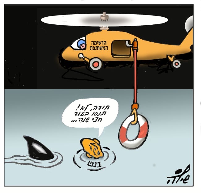 קריקטורה יומית